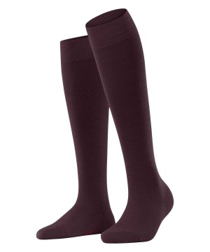 Falke Softmerino Knee-high Socks Sokken Dames Rood | GLE-406315